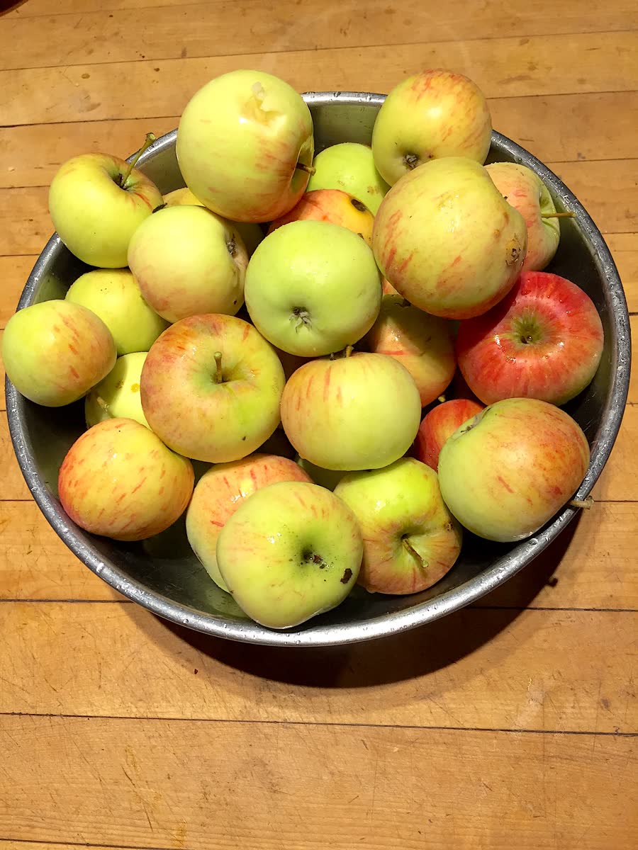 Apples in a kitchen